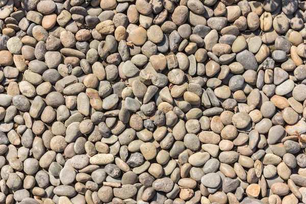 Patrón de suelo decorativo de una piedra de grava —  Fotos de Stock