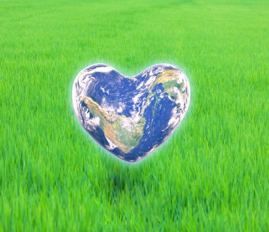 The earth in the shape of a heart,