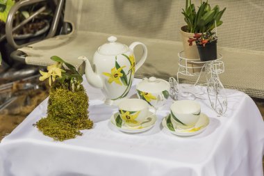 Doğada bitki çayı