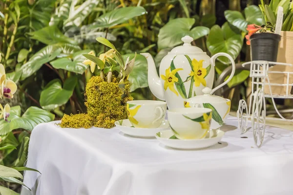 Doğada bitki çayı