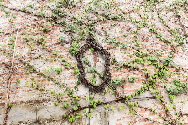 Quadro e folhas de hera na parede — Fotografia de Stock