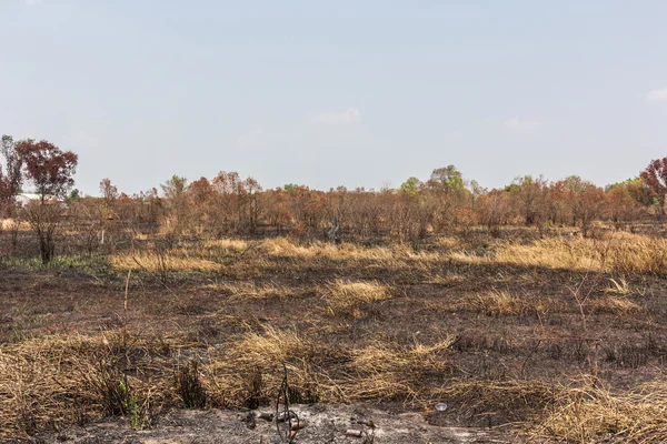 kül siyah kurum ve anız. Yanık alan çiftlik kavramı