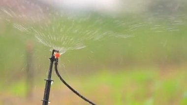 çim sulama Bahçe Sulama yağmurlama