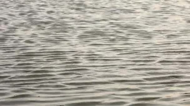 Rivière Close up.Stillwater 