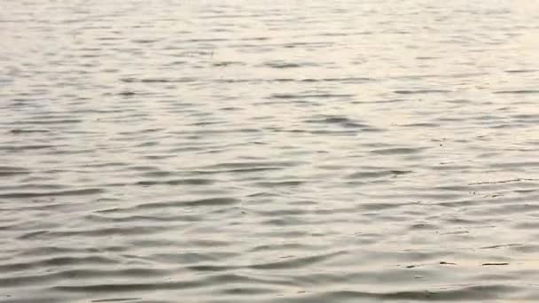 Rivière Close up.Stillwater 