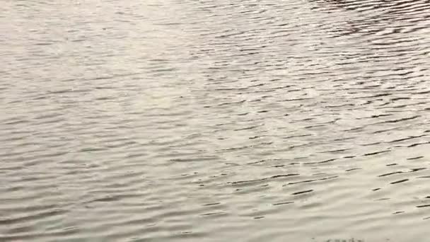 Rivière Close up.Stillwater 