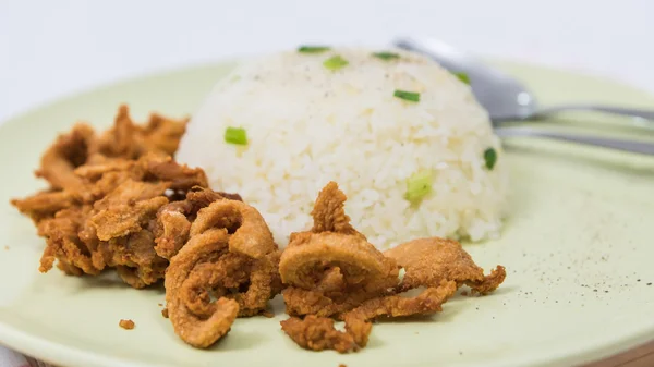 Penutup nasi dan daging babi goreng segar dengan wijen, makanan thai — Stok Foto