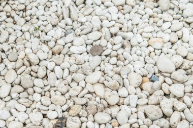 Taş arkaplan dokusu