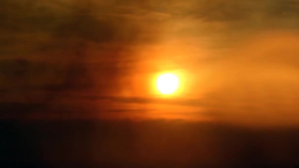 Brouillard atmosphère silhouettes oiseaux en plein soleil 