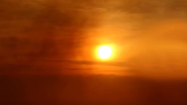 Silhuetas de atmosfera de nevoeiro aves à luz do sol — Vídeo de Stock