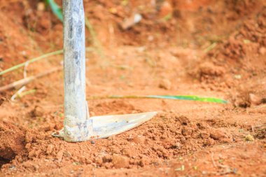 Çapa veya araştırma aracı