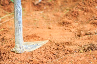 Çapa veya araştırma aracı