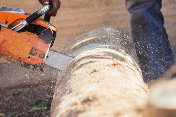 Logger snijden hout met chainsaw te brandhout maken — Stockfoto