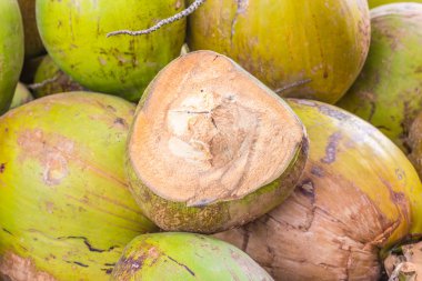 Yeşil Hindistan cevizi grup