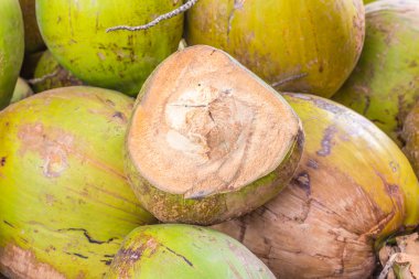 Yeşil Hindistan cevizi grup