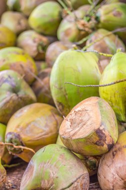 Yeşil Hindistan cevizi grup