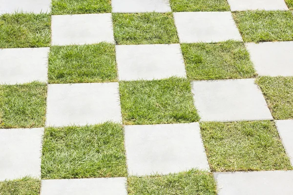 Hierba entre piedras, pavimentación de bloques — Foto de Stock