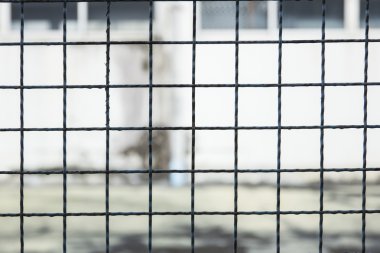 Metal ile Mevsimlik arka plan net