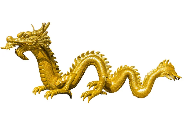 Dragão chinês dourado gigante no fundo isolado — Fotografia de Stock
