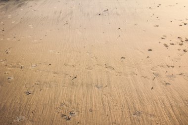 Yazın bir kumsalın kumsal desenine yakın çekim