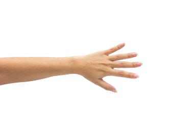 izole üzerinde beyaz zemin üzerine el