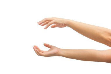 izole üzerinde beyaz zemin üzerine el