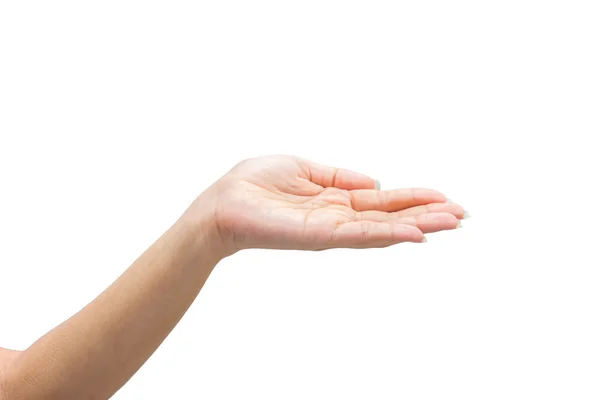 Female hand on the isolated on white background — Stock Photo, Image