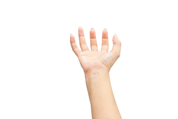 Female hand on the isolated on white background — Stock Photo, Image