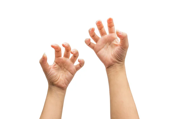 Δύο χέρια απομονωμένα σε λευκό φόντο — Φωτογραφία Αρχείου