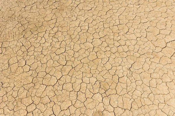 La terre ferme. Fond de terrain fissuré. — Photo