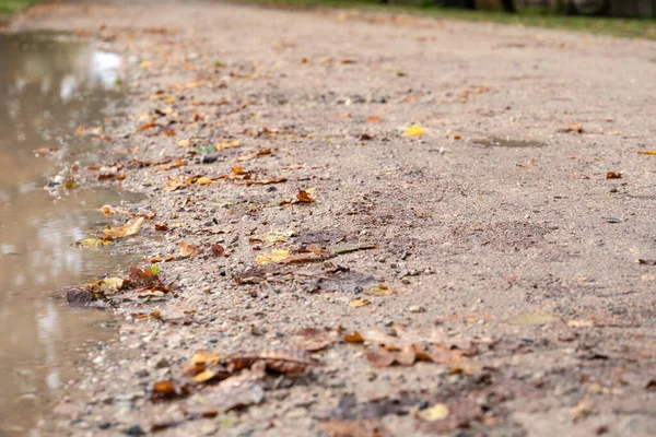 Wet gravel road. Autumn day, weather and season. Wood leaves — Stock Photo, Image