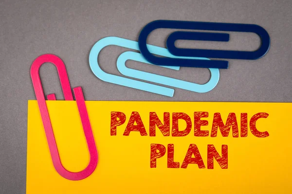 Pandemic plan. Health system, financing and security concept