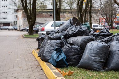 Çöp torbası ya da çöp torbası. Atık ayıklama, düzenli ve temiz ortam