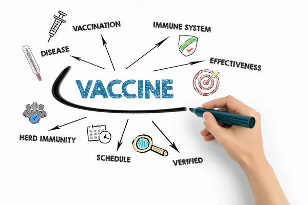 VACCINE. Disease, Immune System, Verified and Schedule concept. Chart with keywords and icons — Stock Photo, Image