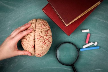 Stack of books, brain model and magnifying glass on a green chalkboard
