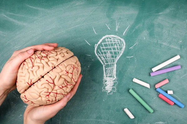 Idea, Knowledge and Skills concept. Brain model and light bulb on a green chalkboard