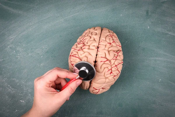 Cérebro e saúde mental. Conhecimento e ideia. Estetoscópio de doutores em uma mão de mulher — Fotografia de Stock