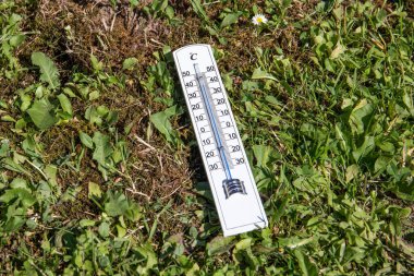 Aşırı sıcak hava. Yeşil çimenlerin üzerinde beyaz termometre