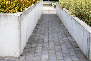 Beton yapılar ve yeşillikli saksılar. Asfalt kaldırım ve kentsel çevre