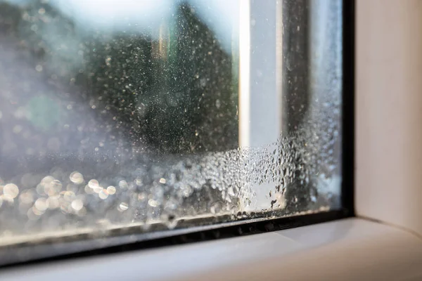 Condensa d'acqua su una finestra di plastica bianca. Stampo ed efficienza energetica — Foto Stock