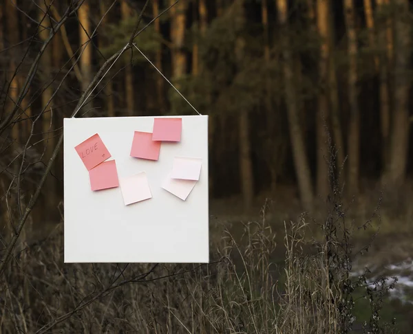Roze kleverige nota's met inscriptie liefde op een van het op wit frame achtergrond in een bos — Stockfoto