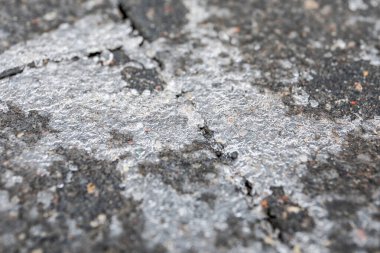 Taş Yüzeyinde Mevsimsel Buz Örnekleri Gösteren Detaylı Makro Sahne.