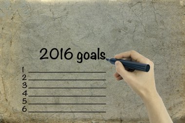 iş hedefleri 2016 yılında