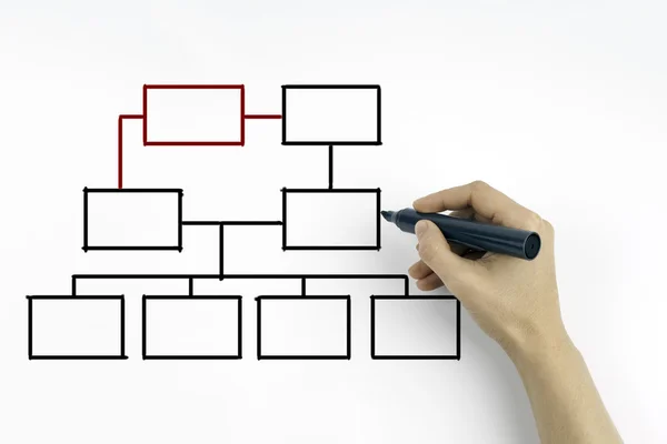 Dessin à la main d'un organigramme sur un tableau blanc Photos De Stock Libres De Droits