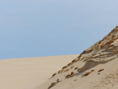 Yazın Polonya Çölü.