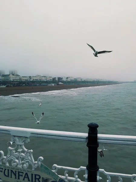 Brighton Dans Brouillard — Photo