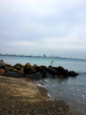 Kışın Danimarka kıyıları.