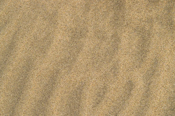 Sand ripples — Stock Photo, Image