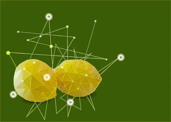 Два лимона полігональних — стоковий вектор