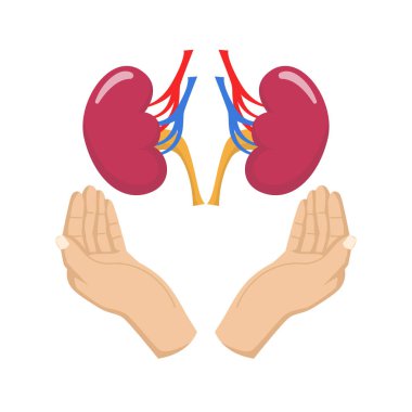 Eller insan böbreği sağlık hizmetleri kavramını barındırıyor